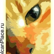Камчатский питомник кошек породы мейн кун «VOLCANPLACE» группа в Моем Мире.