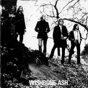 Wishbone Ash - Группы Мой Мир