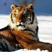 артур 555 on My World.