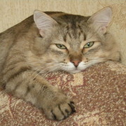 Алексей * on My World.