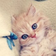 Людмила Костина on My World.