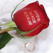 ❤❤❤ ʃıюδλю Ťęδя. ❤❤❤ on My World.
