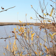 Николай Грединский on My World.