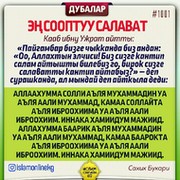 Сапарга чыгуу дубасы картинка