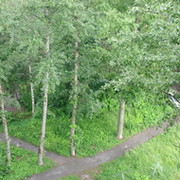 александр зай on My World.