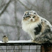Эрик Эрик on My World.