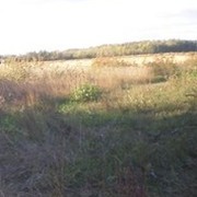 Аслан Керимбаев on My World.
