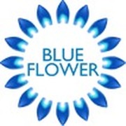 Blue Flower on My World.