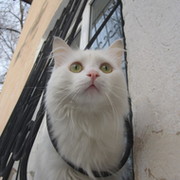 Александр Бобрыка on My World.