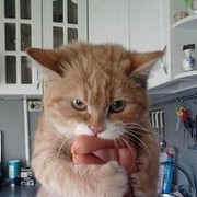 Андрей Анохин on My World.