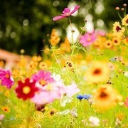 Ботакоз Дауренбекова on My World.
