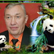 Евгений Цибизов on My World.