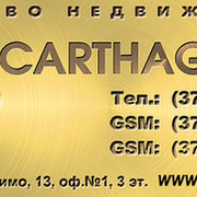 Carthago SRL фирма on My World.