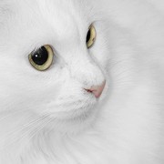Галина Ушкова on My World.