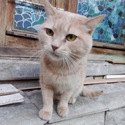 Елизавета М on My World.