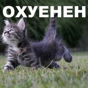 Грешник FEED ME MORE! on My World.