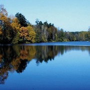 Светлана Гатеева on My World.
