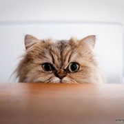 Наталия Бродин on My World.