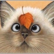 Ольга Коробкина on My World.