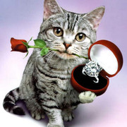 Рикз Кот on My World.