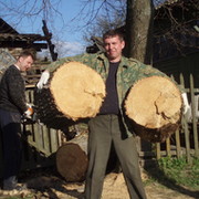 Алексей Кулешов on My World.