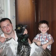 Александр Васильев on My World.