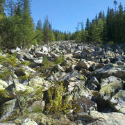 Любовь Фролова on My World.