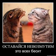 Андрей мавр on My World.