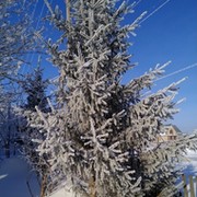 Николай Бастраков on My World.
