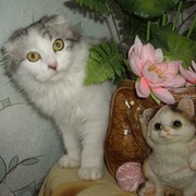 Николай Пустовый on My World.