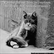 =^..^=ПОМОГИ ЖИВОТНЫМ🐥🐱 on My World.