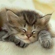 Татьяна Скоробогатых on My World.