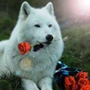 Ангел Ангел on My World.