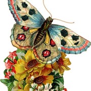 Куляш Тлебаева on My World.