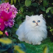 КАТЕРИНА ук on My World.