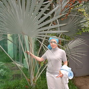 Елена Завалова on My World.